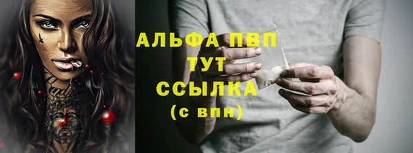 прущие грибы Фёдоровский