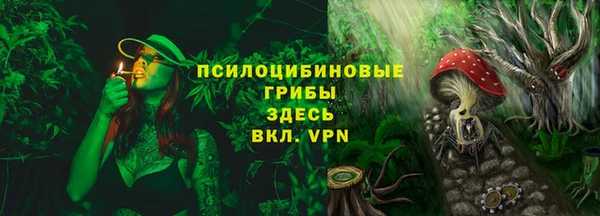 хмурый Елабуга
