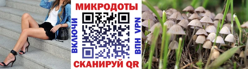 Псилоцибиновые грибы мухоморы  Зеленоградск 